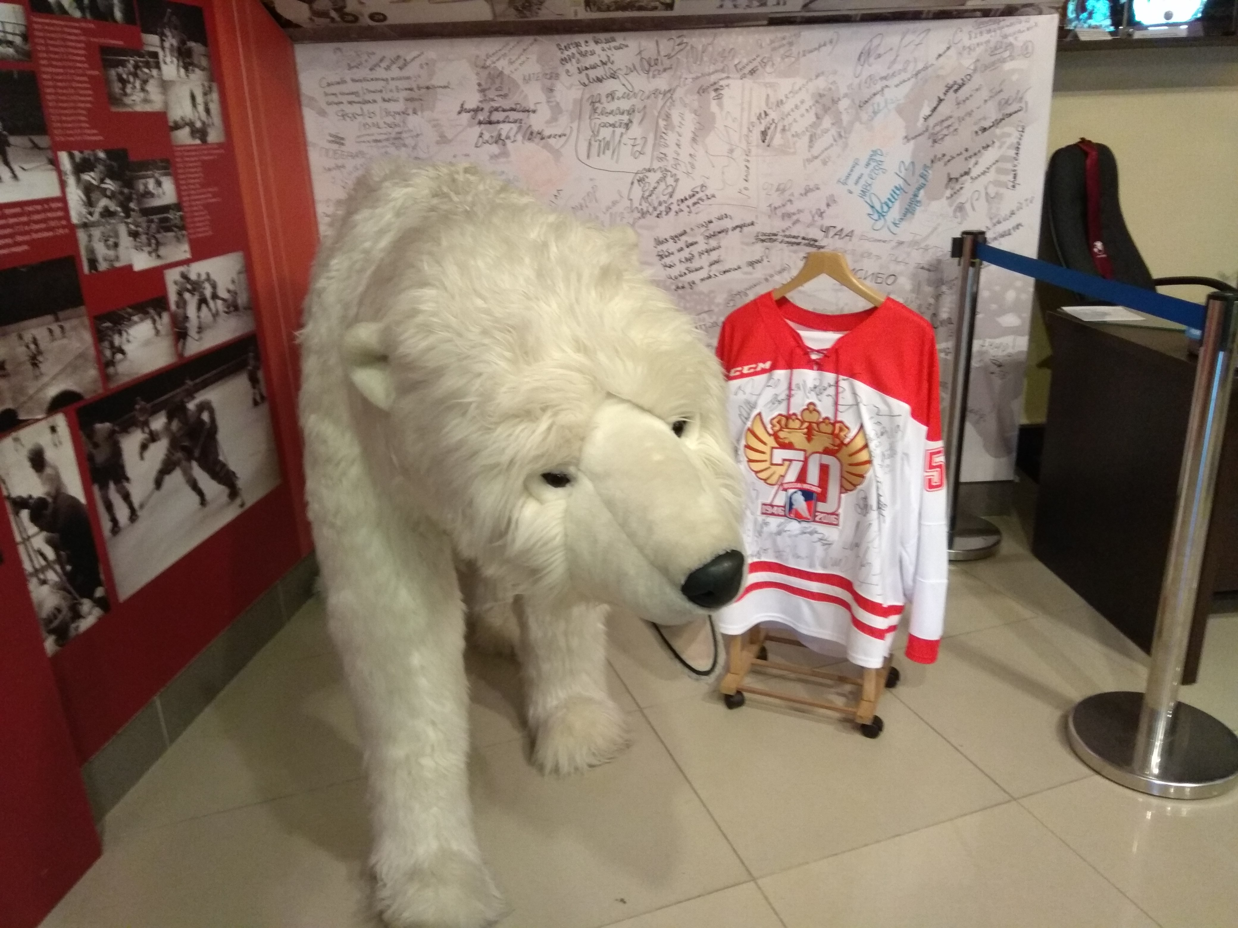 Medvěd nemůže v Rusku chybět.