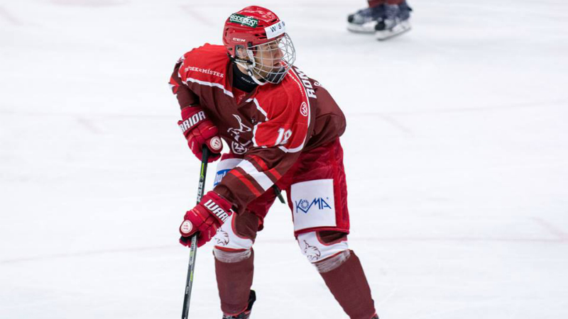 Za Frýdek-Místek nastupoval sedmnáctiletý Miloš Roman (39 zápasů, 5+3). Slovenský útočník patří k velkým nadějím pro příští draft NHL.